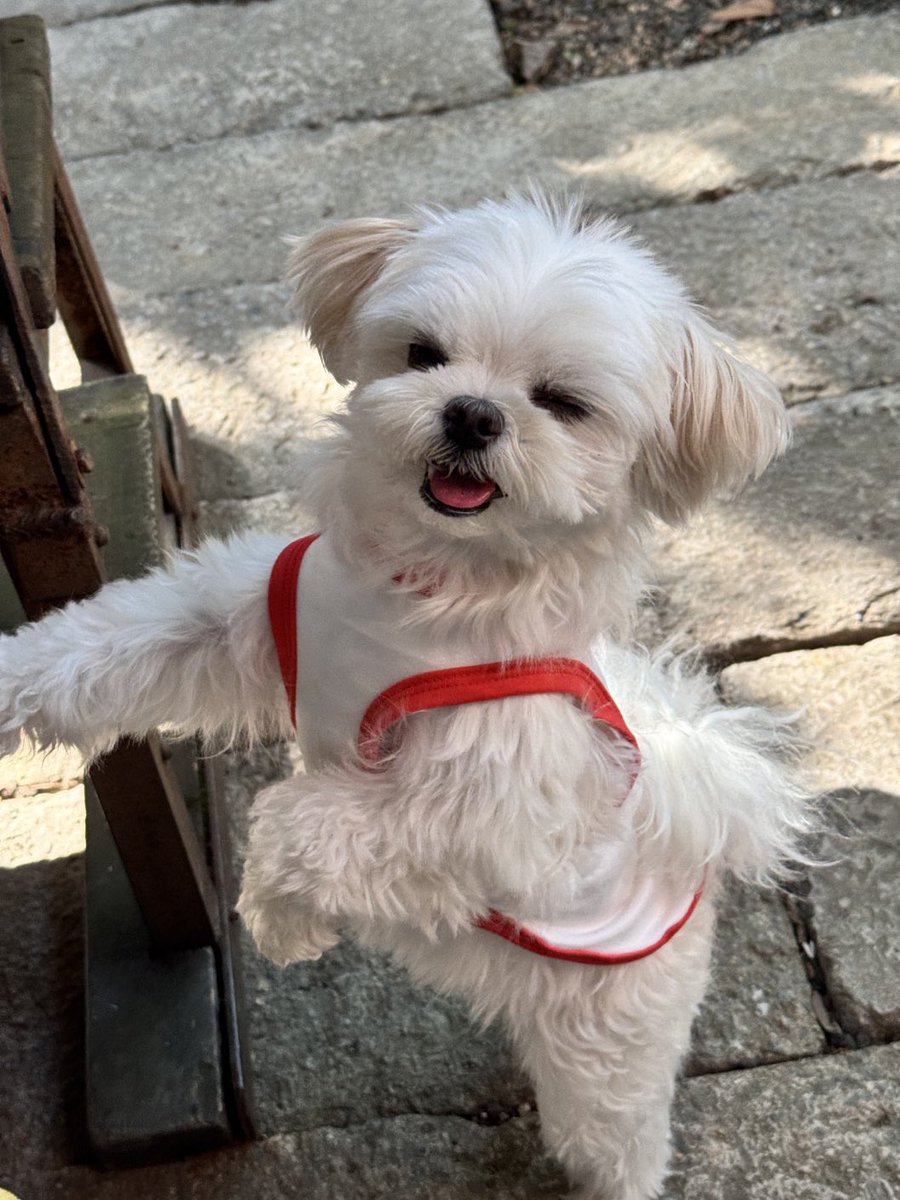 GAWONLEE8's tweet photo. 🥰🥰🥰😍😍😍 https://t.co/cBEdxwZ1V1