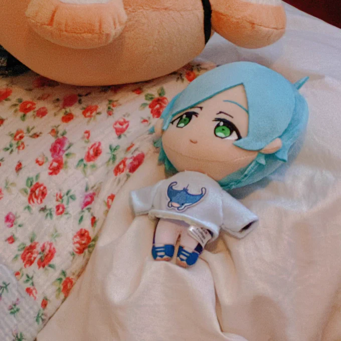 dreaming… 