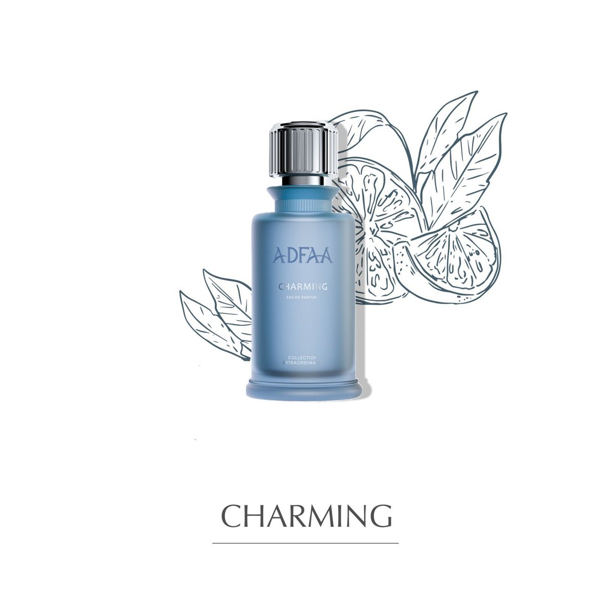 على درب الأمل نمشي وما ندري عن المكتوب  .

͏ 

    #مساء_الخير