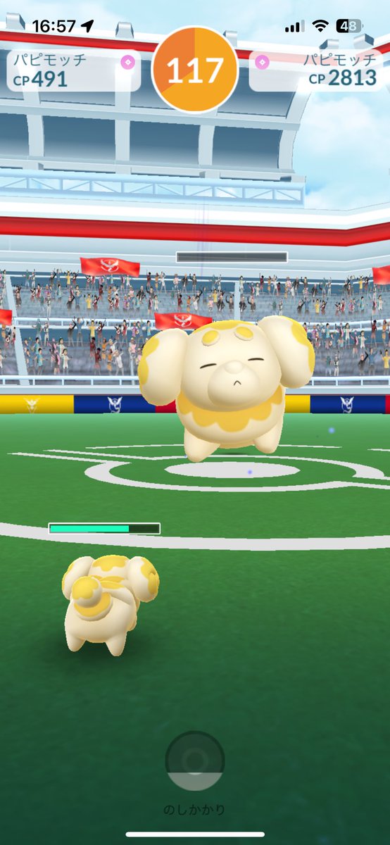 パピモッチの喧嘩にでくわしました