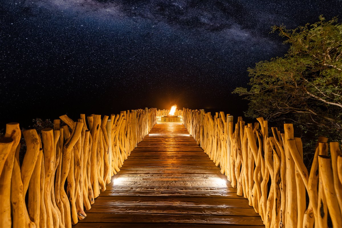 A safari experience made just for you, where every detail is curated with care.
Your private chef, butler, and guide create a truly unique journey.

This is more than a luxurious getaway, it's a love story written in the heart of Africa. Discover TimBila Private Villa...