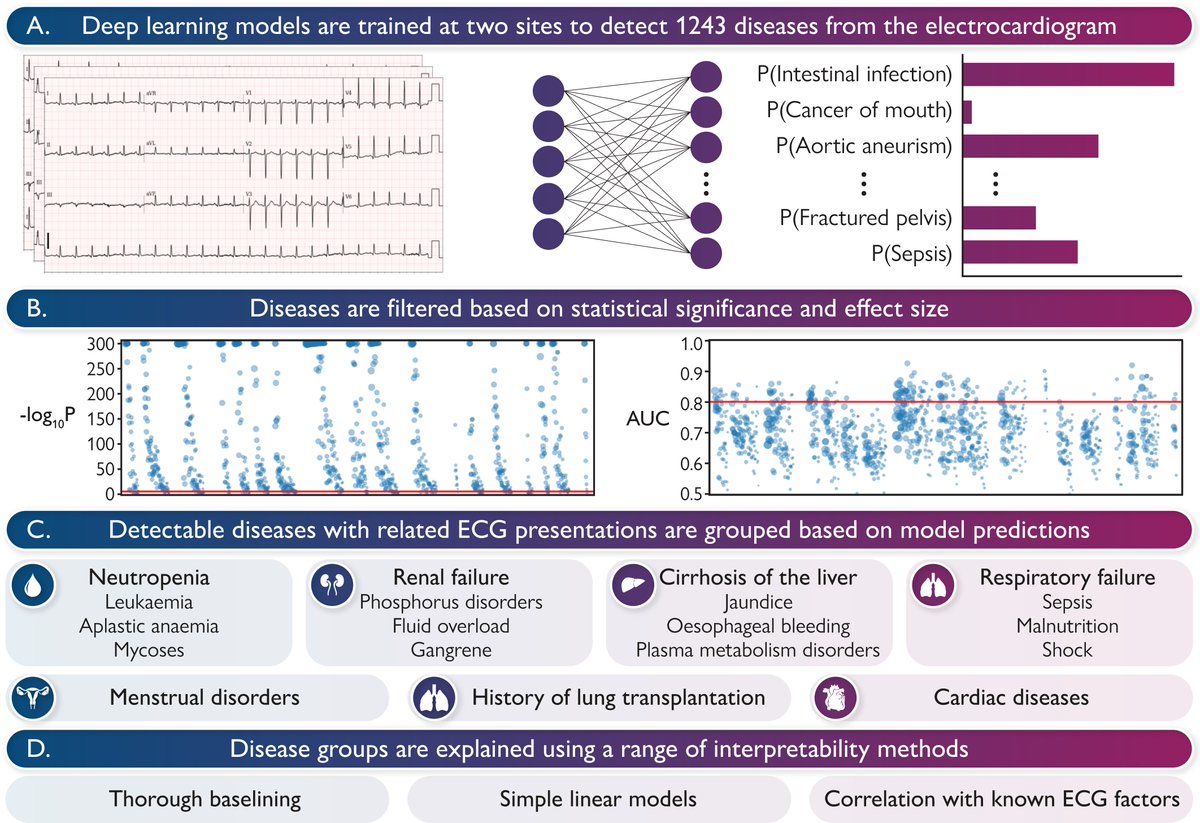 European Society of Cardiology Journals (@esc_journals) on Twitter photo A #DeepLearning Phenome Wide Association Study of the Electrocardiogram ow.ly/AqAZ50VSsh5
#EHJDigital #eHealth <a href="/BruiningNico/">Nico Bruining EiC EHJ Digital Health</a> <a href="/rafavidalperez/">rafavidalperez</a> <a href="/fwasselbergs/">Folkert Asselbergs</a> <a href="/rbcasado/">Ruben Casado Arroyo</a> A #DeepLearning Phenome Wide Association Study of the Electrocardiogram ow.ly/AqAZ50VSsh5
#EHJDigital #eHealth <a href="/BruiningNico/">Nico Bruining EiC EHJ Digital Health</a> <a href="/rafavidalperez/">rafavidalperez</a> <a href="/fwasselbergs/">Folkert Asselbergs</a> <a href="/rbcasado/">Ruben Casado Arroyo</a>