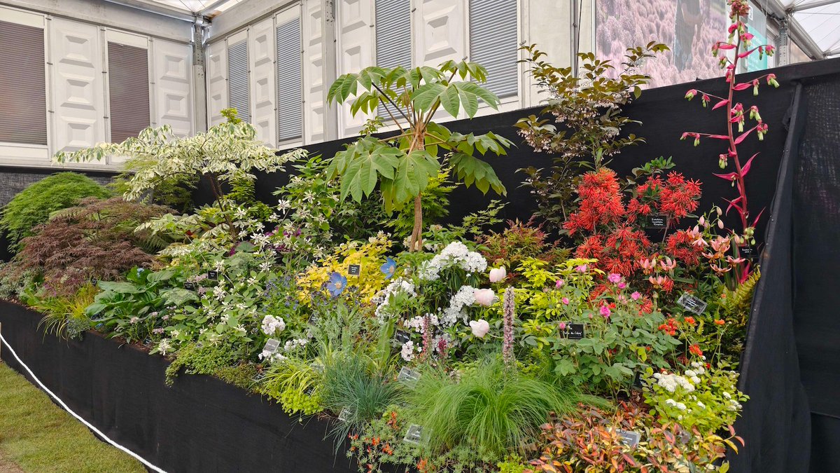 Burncoose Nurseries® tweet media