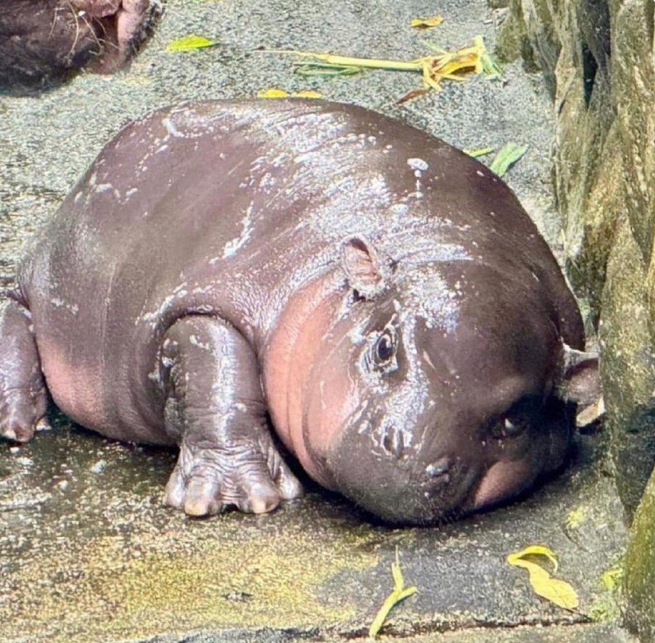 monday
