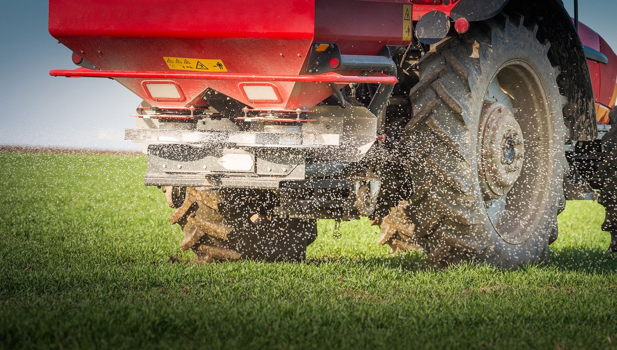 If dry conditions persist, when applying fertilizer for second cut silage consider an initial application of 30-40% of total and apply the balance when rain returns and growth increases.