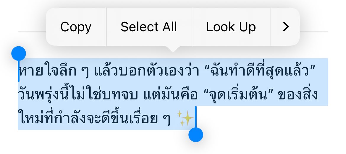 p ˚◞ tweet media