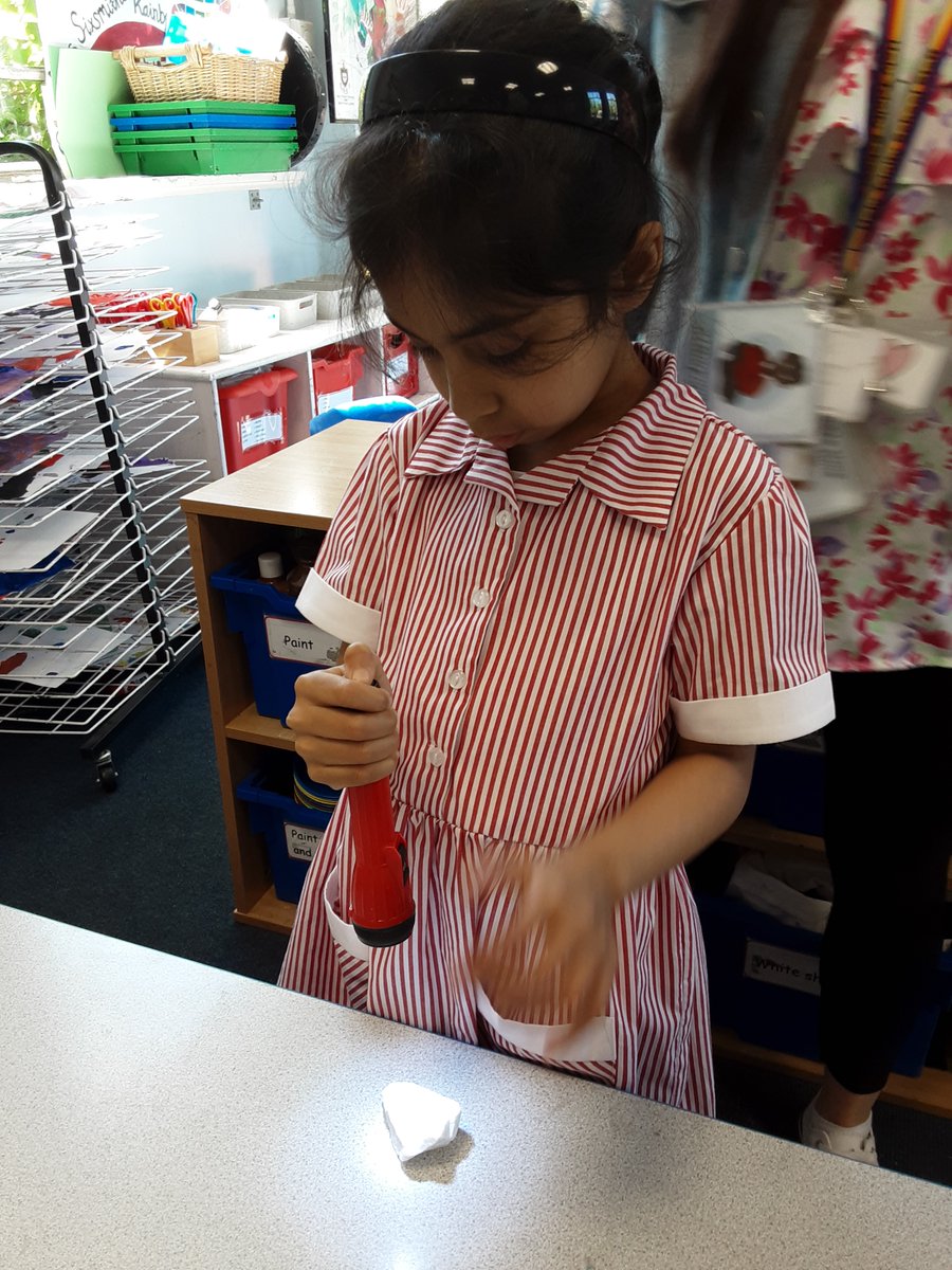 Holy Trinity School tweet media