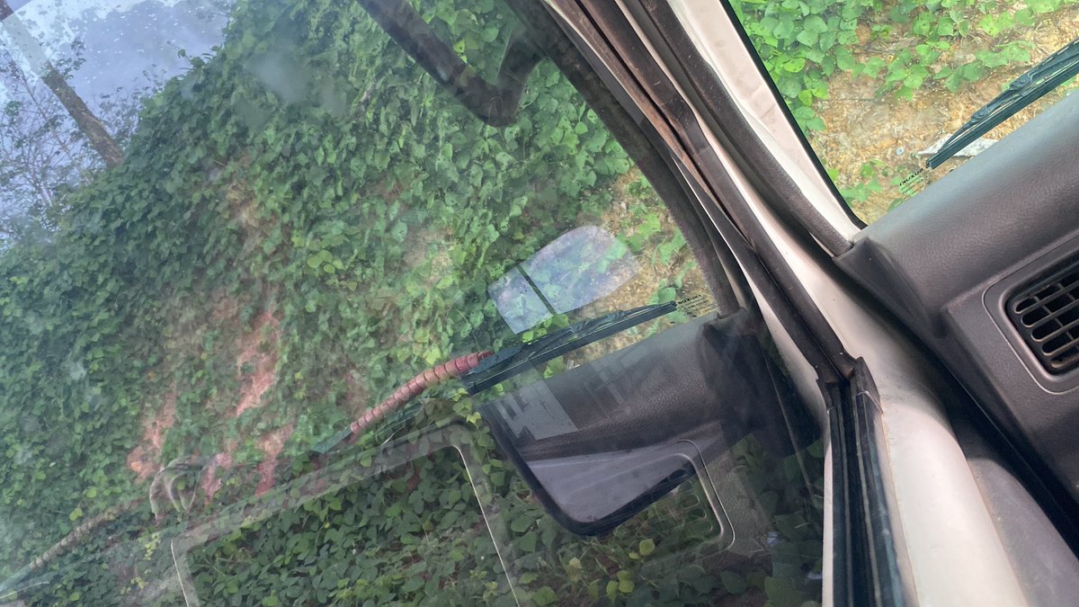 Di hutan ges nunggu hujan