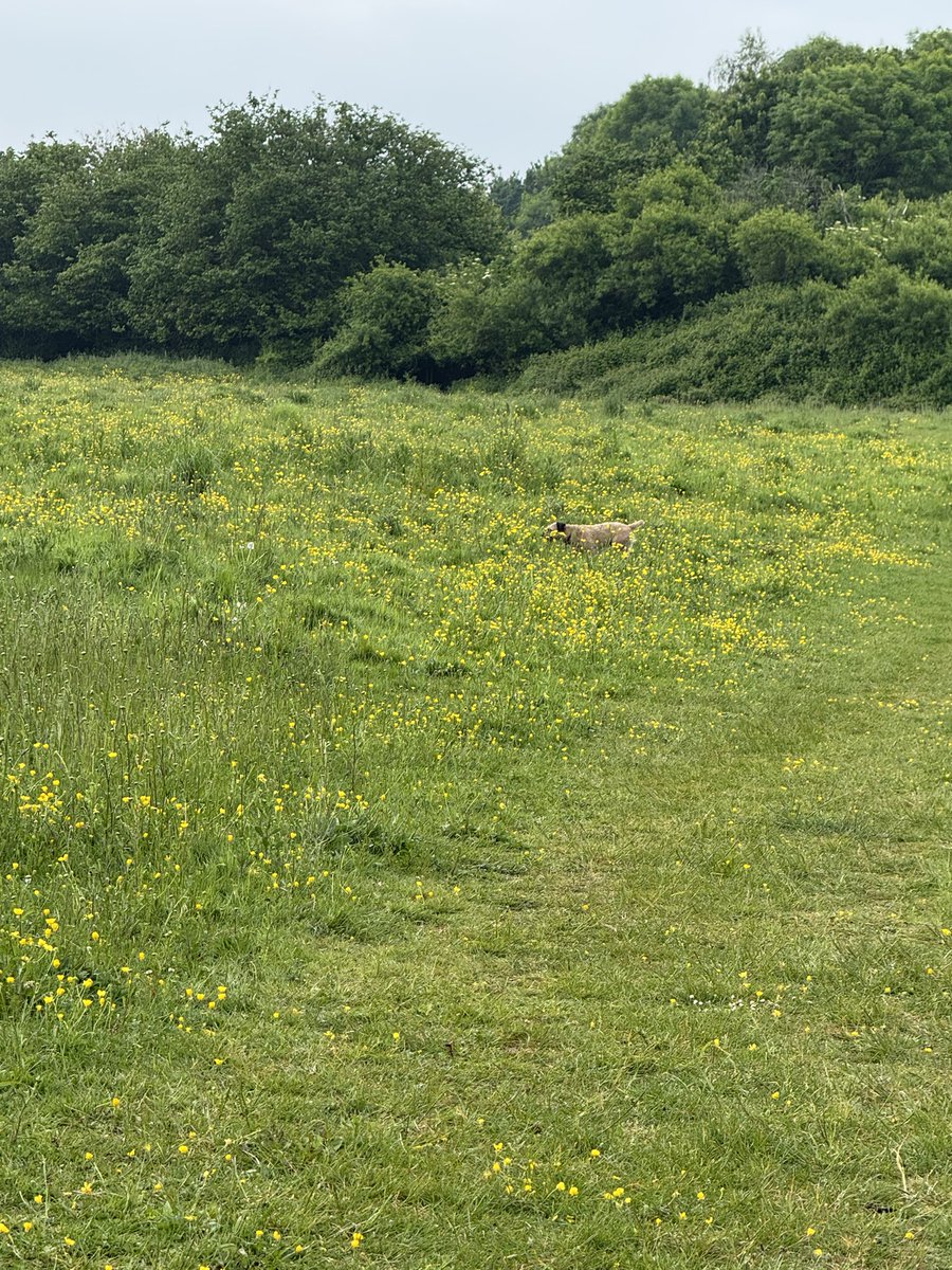 Christine Ramos Roberts 🇺🇦🇨🇦 tweet media