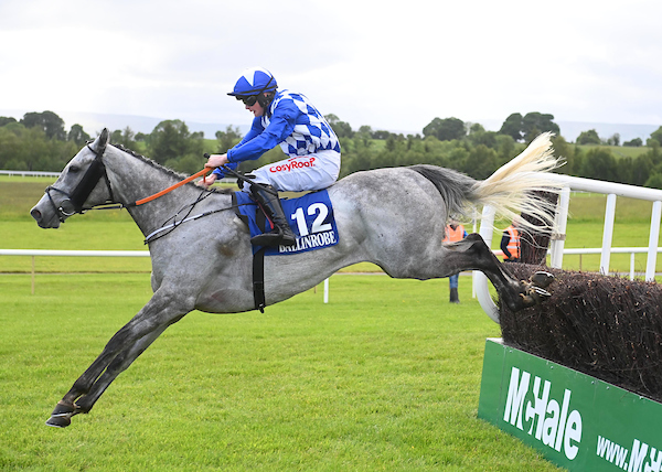 🎉 Only 1 week to go until McHale Raceday 2025 – our BIGGEST raceday of the year! 🏇

Expect top-class racing, an electric atmosphere, and unforgettable moments.
Don’t miss it – this is the one everyone talks about! 👏
📸 Take a look back at some of the excitement from last year