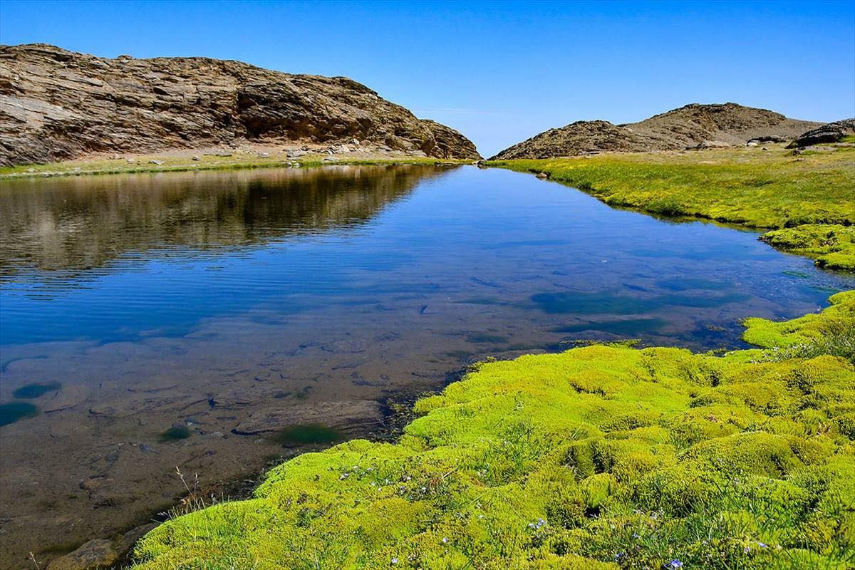 Antequera Deporte tweet media