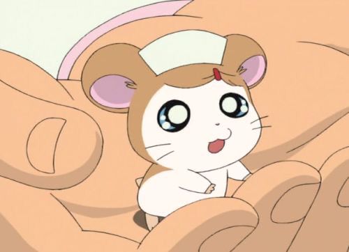 간호사 햄토리랑 도트 셀프네일 •••
그리고 음표 ♫♪