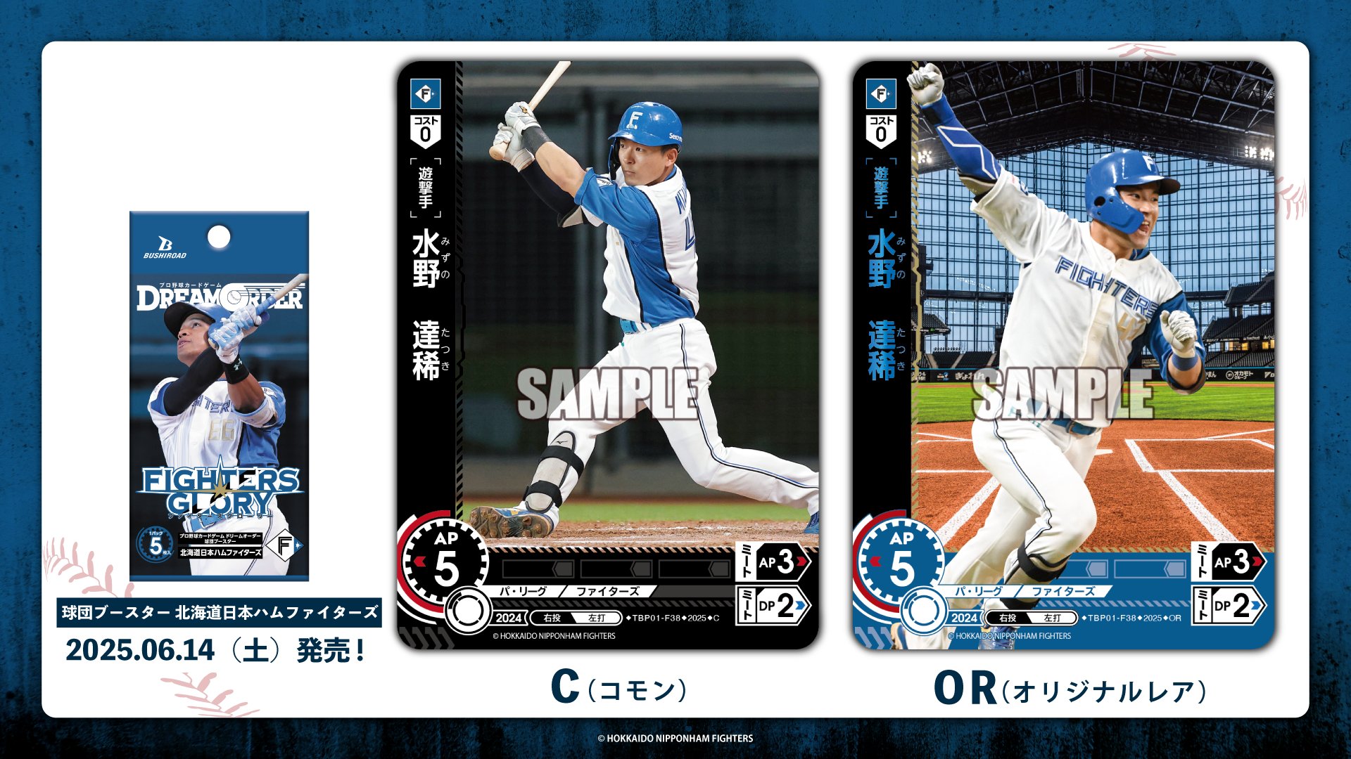 プロ野球カードゲーム DREAM ORDER 球団ブースター 北海道日本