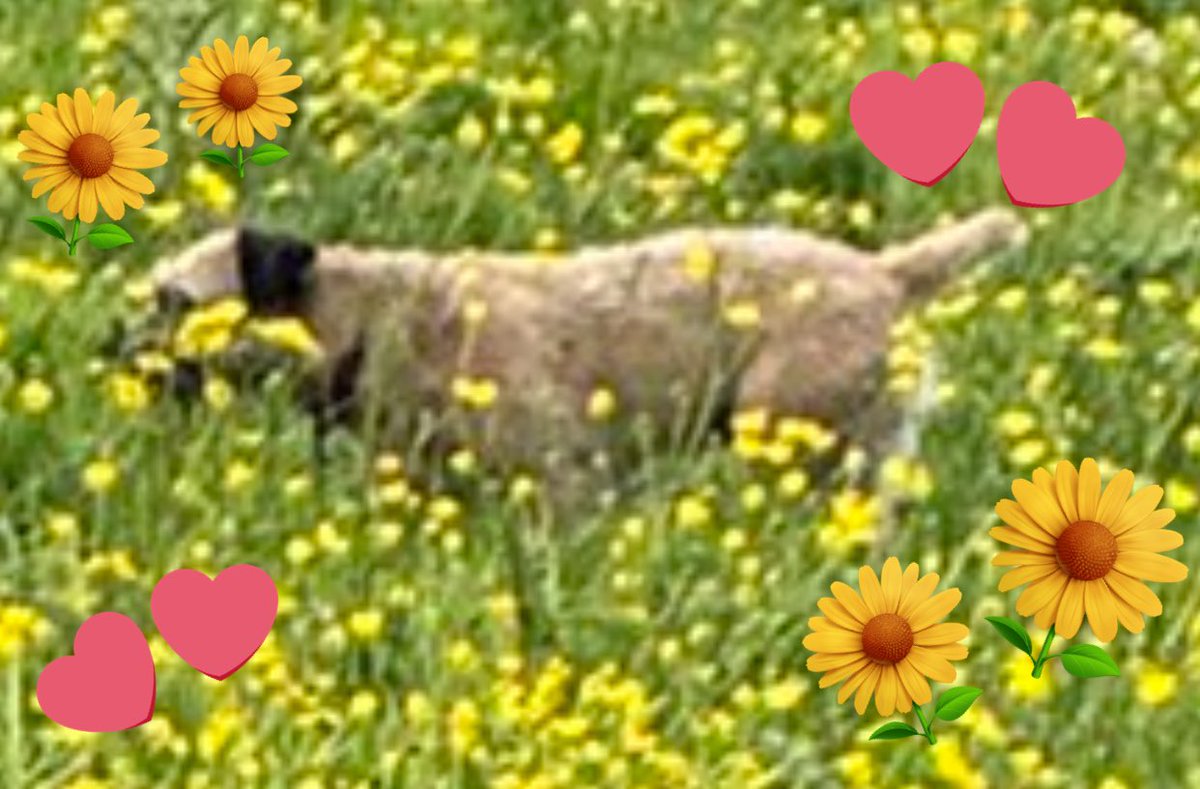 Our Exeter tweet media