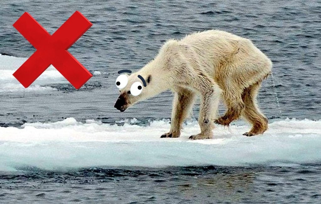 Grandfather🐋📦 tweet media