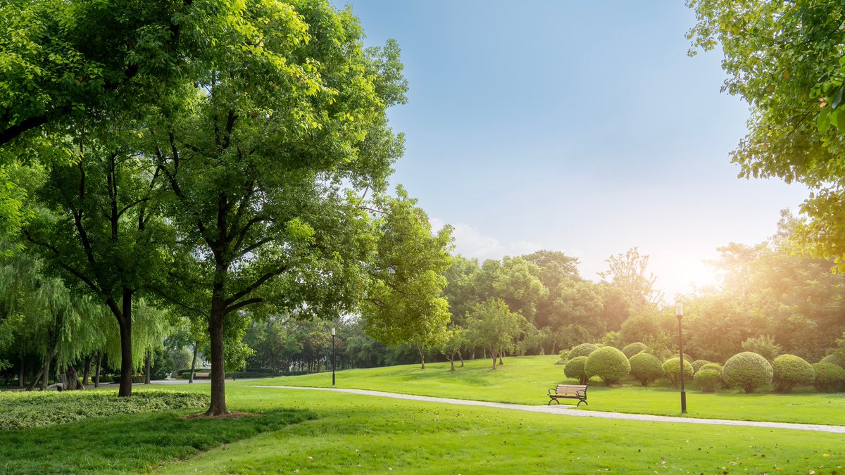 ESCoE (@escoeorg) on Twitter photo What happens when vital assets, like clean air, public parks or cultural heritage, arenāt captured in our economic metrics?
A new ESCoE paper by Julia Wdowin and <a href="/DianeCoyle1859/">Diane Coyle</a> (<a href="/BennettInst/">Bennett Institute for Public Policy</a>) explores how we can better account for āmissing capitalsā. tinyurl.com/4c8c25f6 What happens when vital assets, like clean air, public parks or cultural heritage, arenāt captured in our economic metrics?
A new ESCoE paper by Julia Wdowin and <a href="/DianeCoyle1859/">Diane Coyle</a> (<a href="/BennettInst/">Bennett Institute for Public Policy</a>) explores how we can better account for āmissing capitalsā. tinyurl.com/4c8c25f6