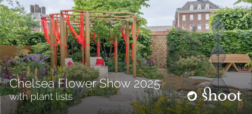 New: Chelsea Flower Show 2025 gardens &amp; plant lists shootgardening.com/articles/types… Add any plant list in 1-click to your own lists in Shoot to “get the look” in your own garden.