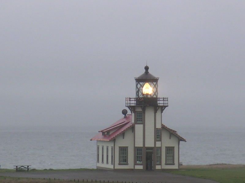 The Rufous tweet media