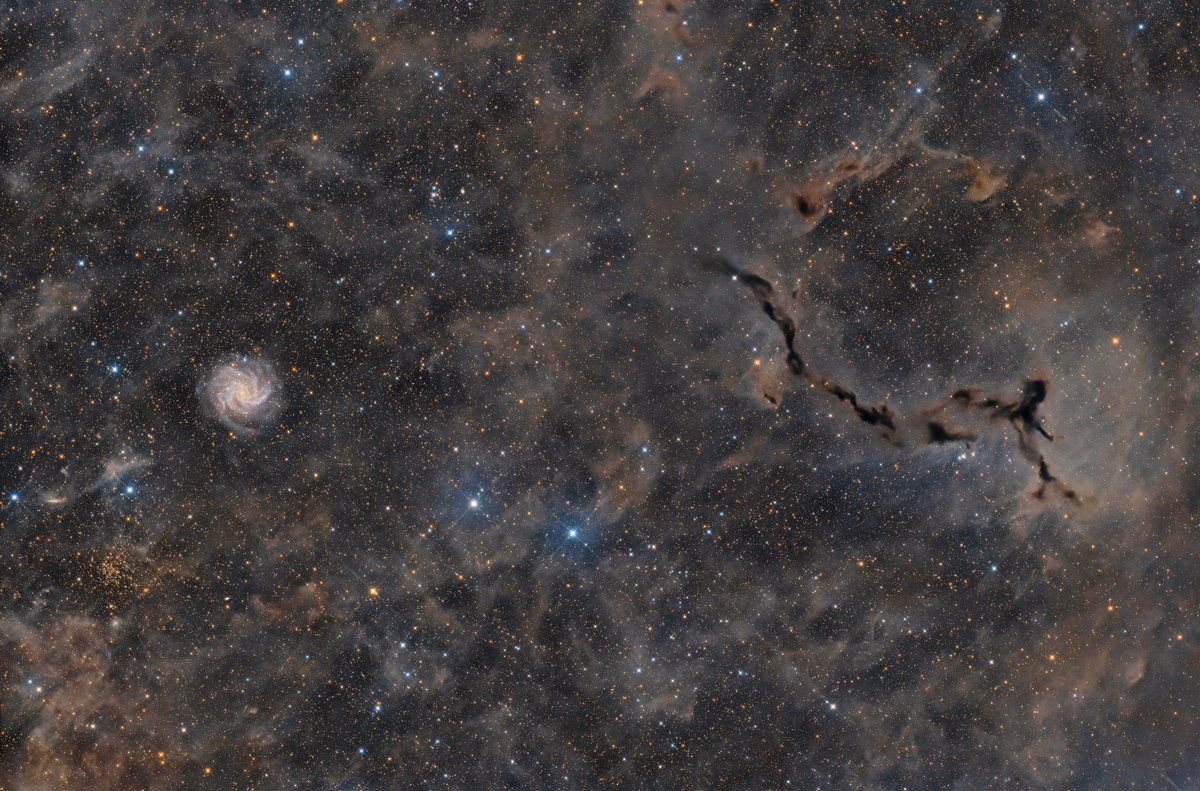 SharpstarOptics's tweet image. 🌟Barnard 150, Seahorse nebula, NGC 6946
🔭Sharpstar 13028HNT
Camera: Player One Poseidon-C Pro
Mount: Sky-Watcher HEQ5 PRO
Filter: Optolong UV/IR cut 2"
Integration: Lum/Clear  997×60″  16h 37′
Photographer: Nicolas puig and Mike Hamende
#askar #askardaily #sharpstar #13028HNT