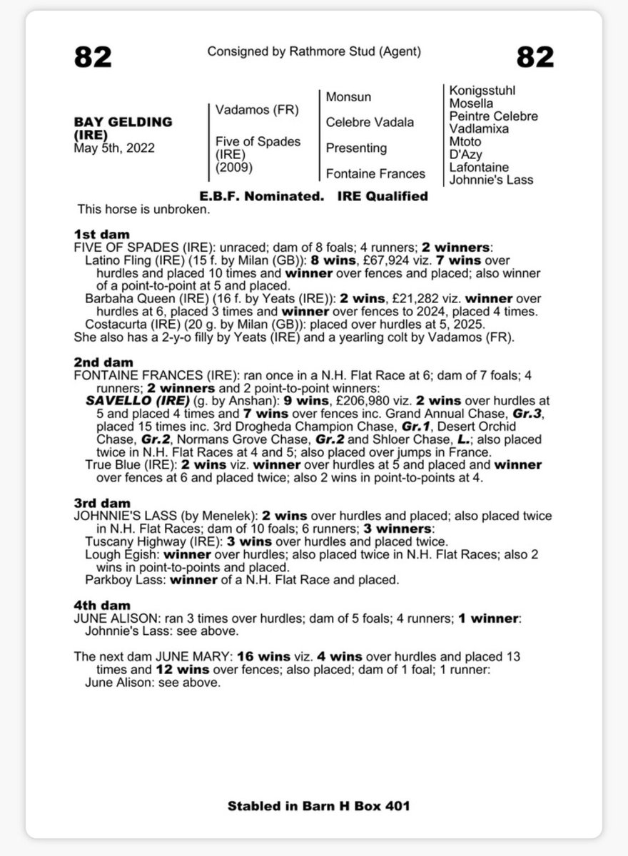 Tim Dennis Racing and Bloodstock tweet media