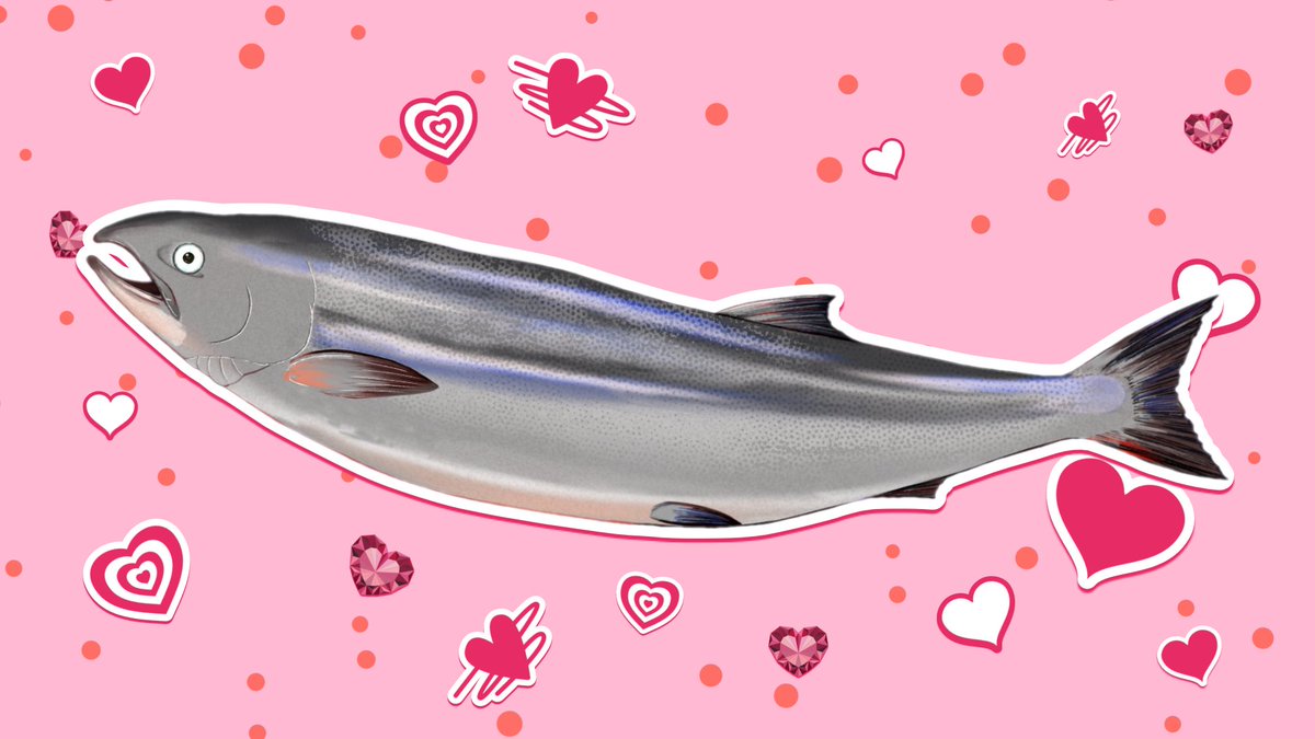 sakeko_salmon's tweet photo. #露出度の高いVtuber選手権 https://t.co/HOgEiAn98H
