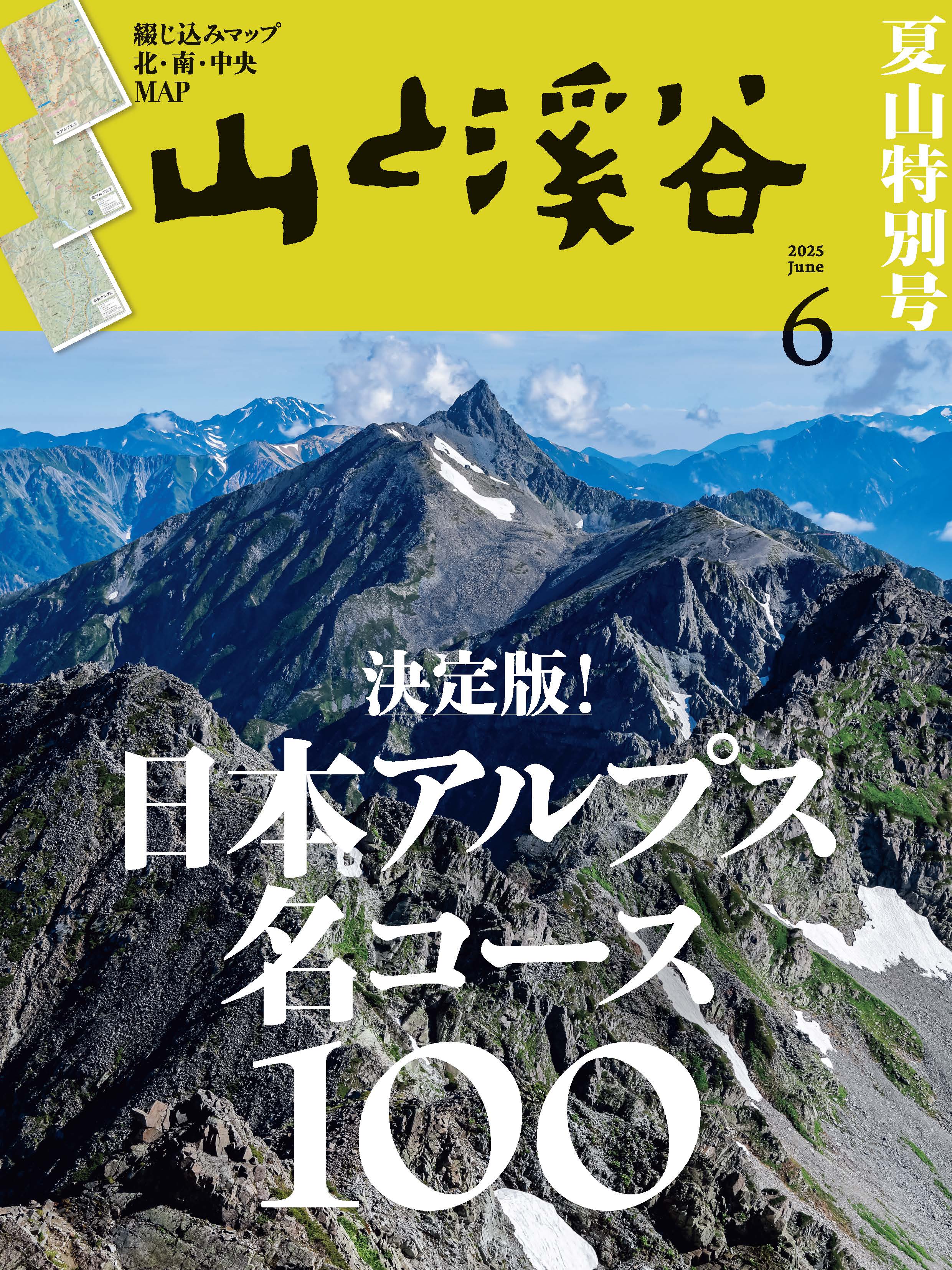分県登山ガイドセレクション 関西周辺の山ベストコース100 | 山