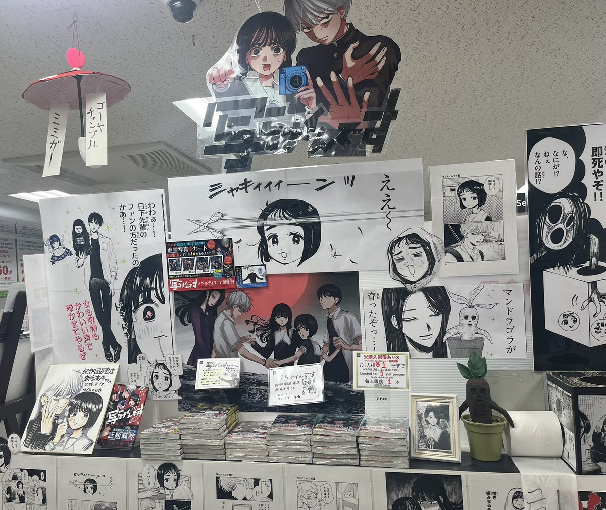 紀伊國屋書店新宿本店様にて、写らナイんです大展開していました…!毎度飾り付けが凄すぎて仰天です!ありがとうございます👻
#写らナイんです 