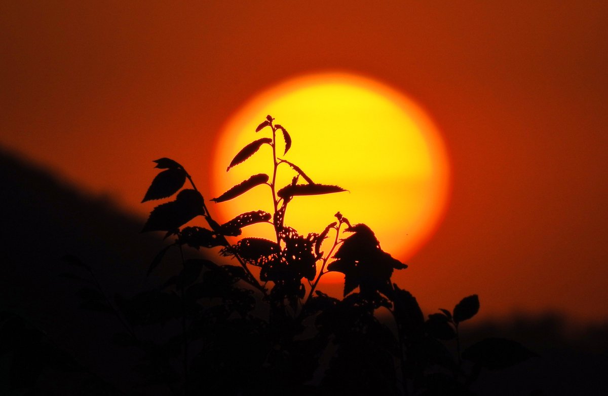 Mari Cortés tweet media