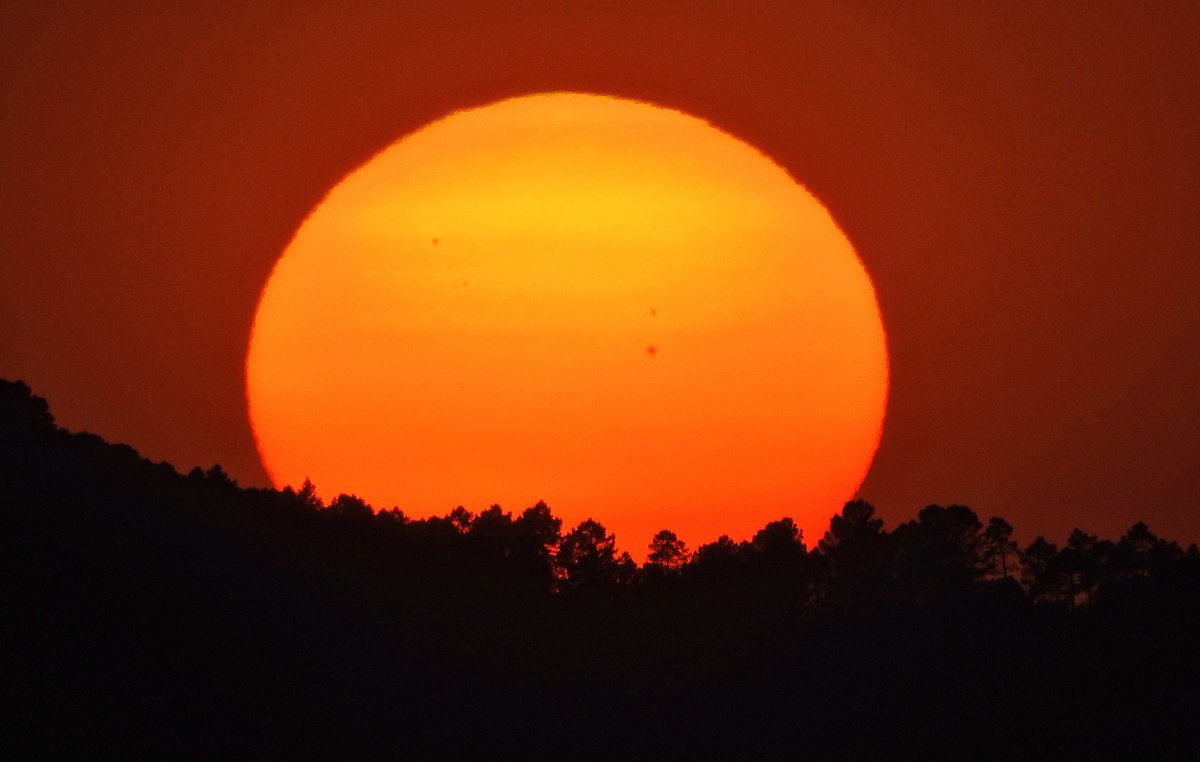 Mari Cortés tweet media