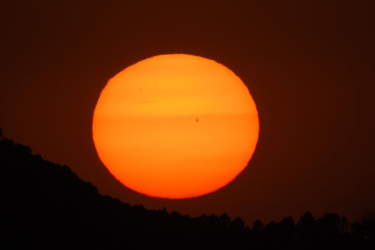 Mari Cortés tweet media