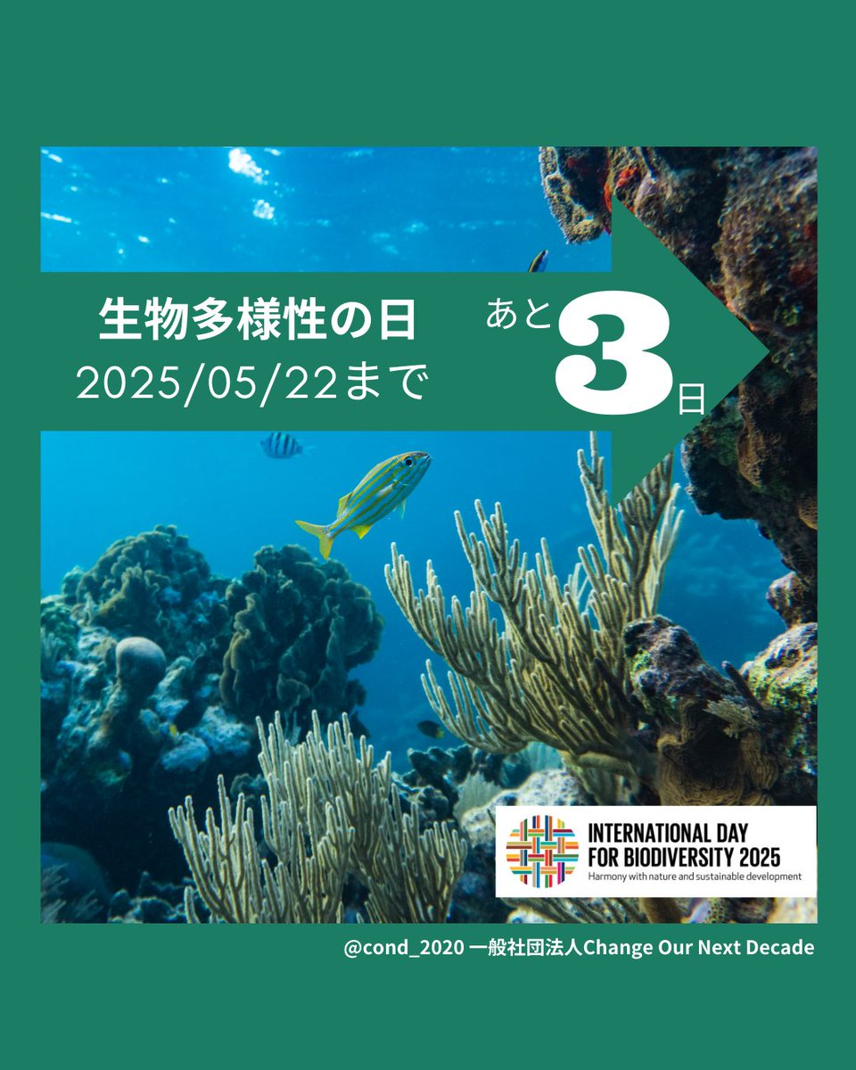COND_2020's tweet photo. 5月22日は【#生物多様性の日】

#生物多様性 は、地球上の生命にとって不可欠です。水や食べ物、空気など、私たちの#日常 を支えています。

これを機に、生物多様性 や、生物多様性の日 について知っていただけると幸いです！

@unbiodiversity 
#COND #youth #biodiversity #BiodiversityDay https://t.co/VY9pigAe5m