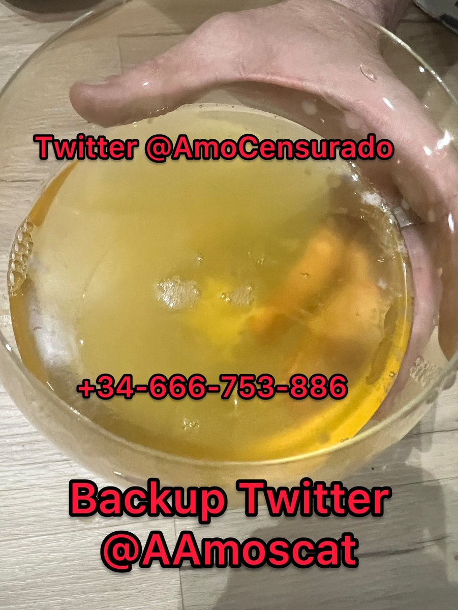 Anoche se bebió todo el jugo de mis huevos .... Cómo tragaba con la copa hasta arriba mi lefote y meos 😄

Tu quieres probar lo rico que estoy?

WhatsApp +34-666-753-886
Telegram @ AmoScatVK

#FinDom #PissDrink #Swallopiss #meo #lefa #corrida #guarradas #SesionesrealesMadrid #Pig