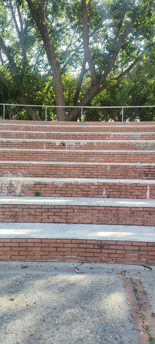 Hoy ha tocado pliometría.
Qué cosa más bonita 😪😭😭😭😭