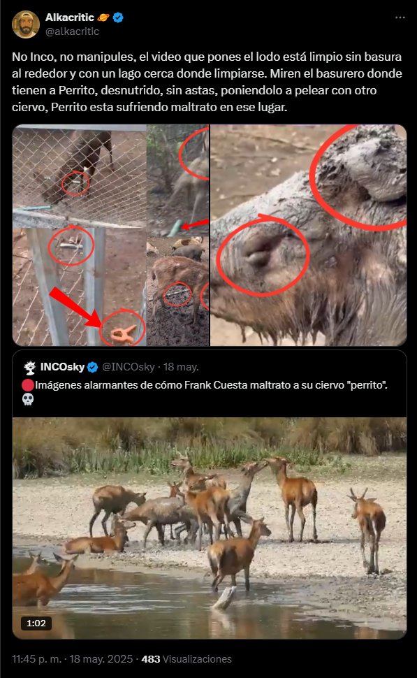INCOsky's tweet photo. Que vergüenza me da esta gente 🤦

Vivimos en una época donde la información está a disposición de todo el mundo tan fácilmente.

Tienes Wikipedia, documentales en netflix o youtube si quieres algo gratis, Chatgpt o cualquier IA, foros o páginas web especializadas.

Pero decides elegir la senda de la ignorancia.

Seguro le preguntas qué es una Glandula preorvital y su respuesta será: Perrito es una gacela 🙃

Gente, no le tengan miedo a los libros, vean documentales que son hermosos. Porque podrían terminar como este chico.😢