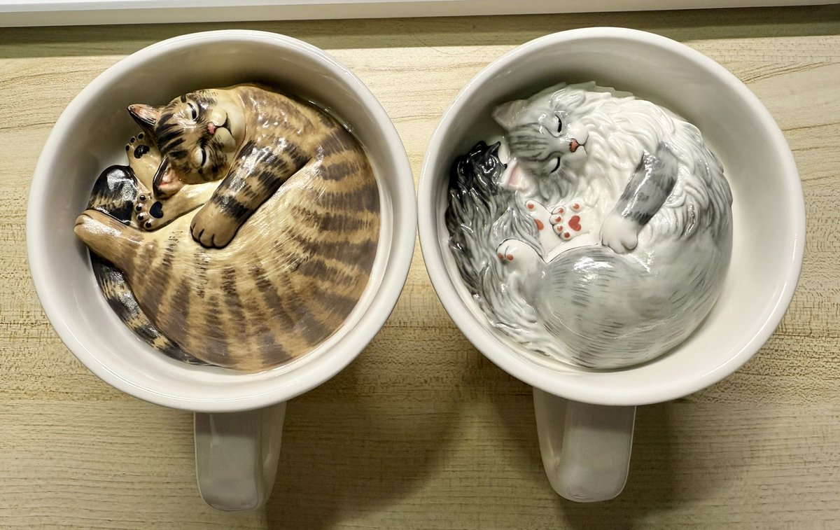 Tekla135's tweet image. 🐱杯杯