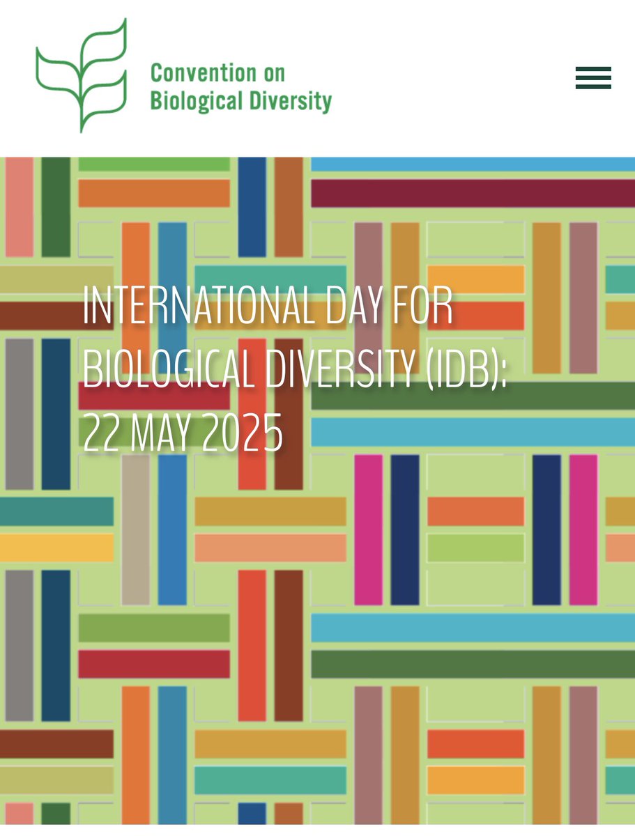 #SISSSuolo Division II promotes the study and disseminates knowledge on the complex and fascinating #biodiversity of #soil. Join us 🌎in celebrating #BiodiversityDay May 22th  (for more info cbd.int/biodiversity-d…) #SISSNews #InSoilWeTrust