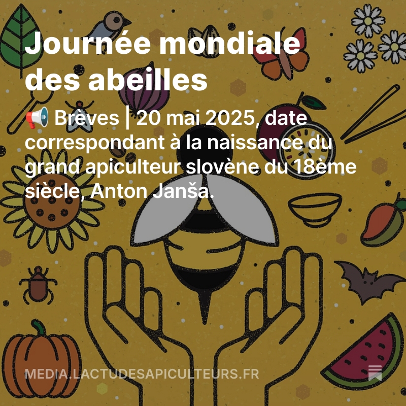 Ro1968R's tweet image. Chaque année, le 20 mai, la Journée mondiale des abeilles est célébrée pour souligner l'importance cruciale des abeilles et autres pollinisateurs dans la préservation de la biodiversité et la sécurité alimentaire mondiale. media.lactudesapiculteurs.fr/p/journee-mond…