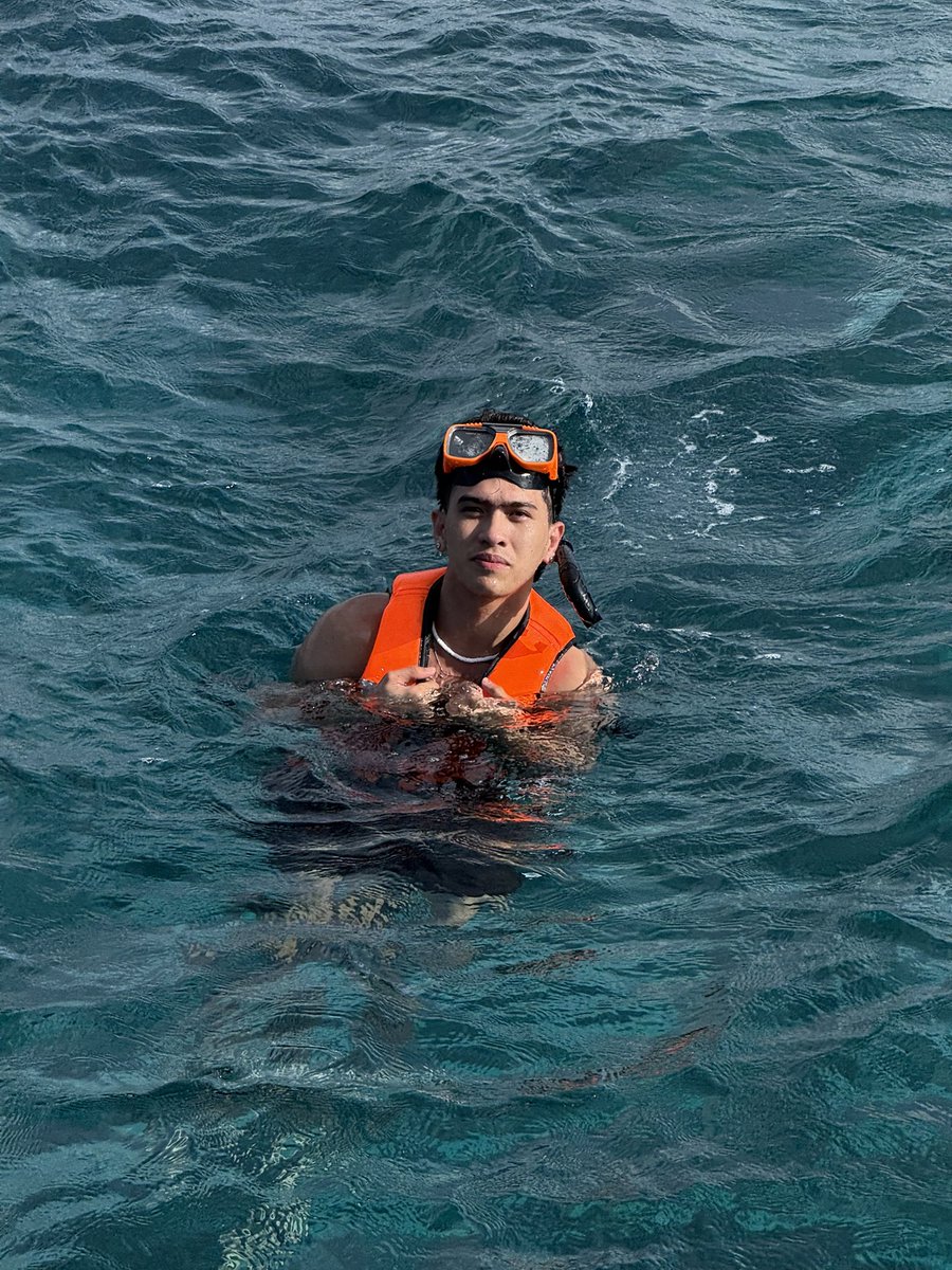 steotype tweet media