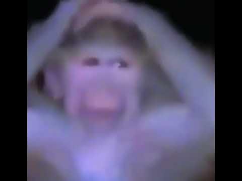 Castusel's tweet image. Passion