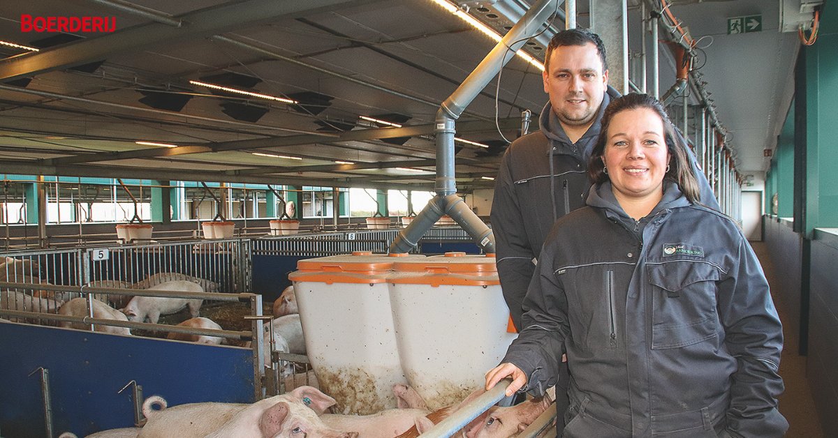 Overstappen naar een hoger welzijnsniveau? Veel Duitse #varkenshouders benadrukken dat dit alleen mogelijk is als er afzetzekerheid is. Dirk en Anne Sandering waagden de stap en hebben er geen spijt van. 👉shorturl.at/ibThj