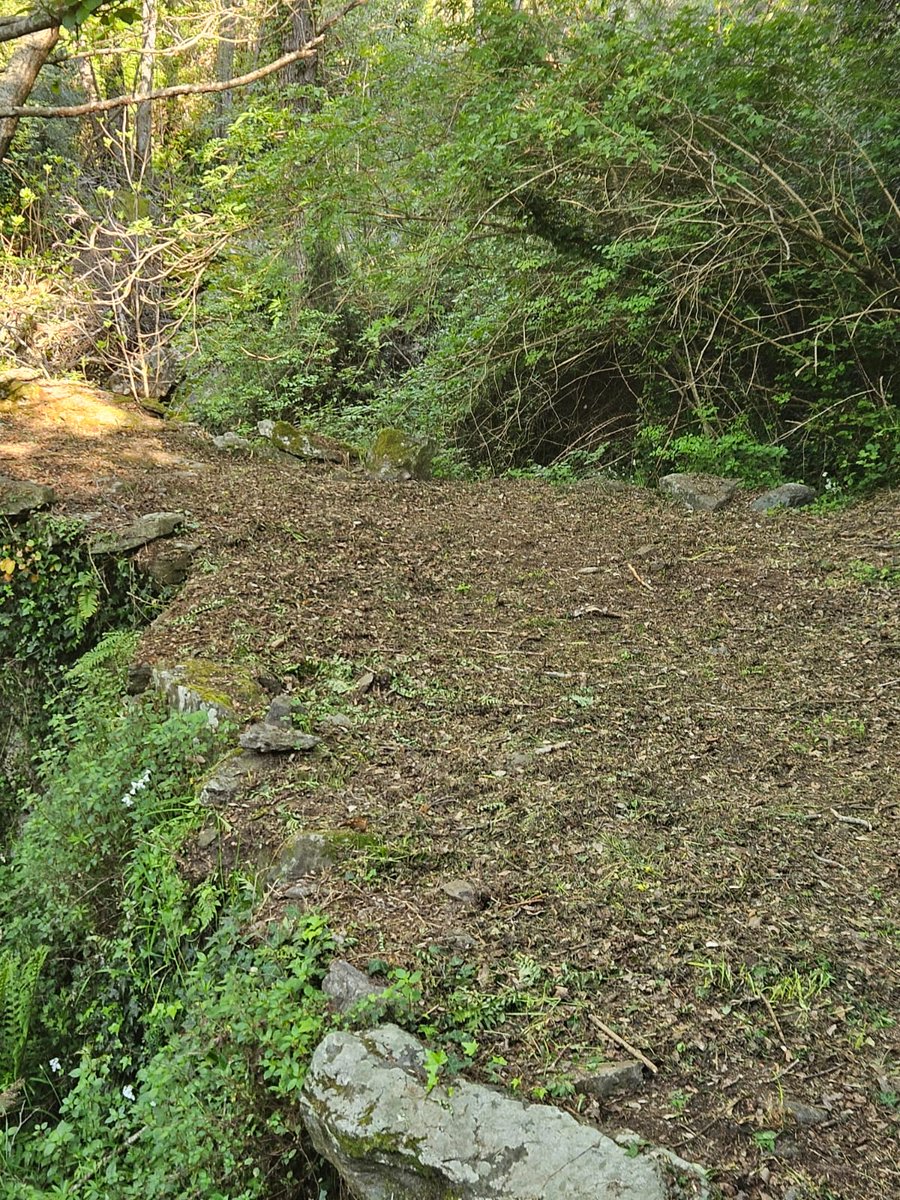 🌿Mandriale : nettoyage du sentier menant au Ponte Vechju, pont génois du XVIIe siècle. 
➡️Un pas de plus pour préserver notre mémoire collective et redonner vie aux chemins d’antan.