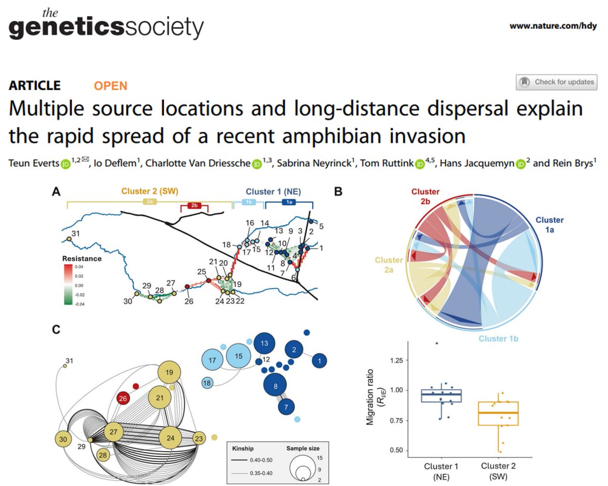 Teun Everts tweet media