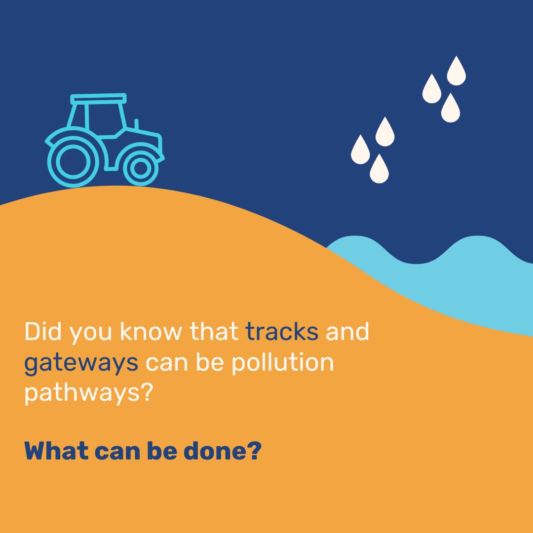 N_Rivers_Trust's tweet image. Did you know that tracks and gateways can act as pollution pathways? 

Discover how, as a landowner, you can mitigate these pollution pathways and why it benefits both your farm and the environment. 🍃

#WRAP #BestPractice #LandManagement