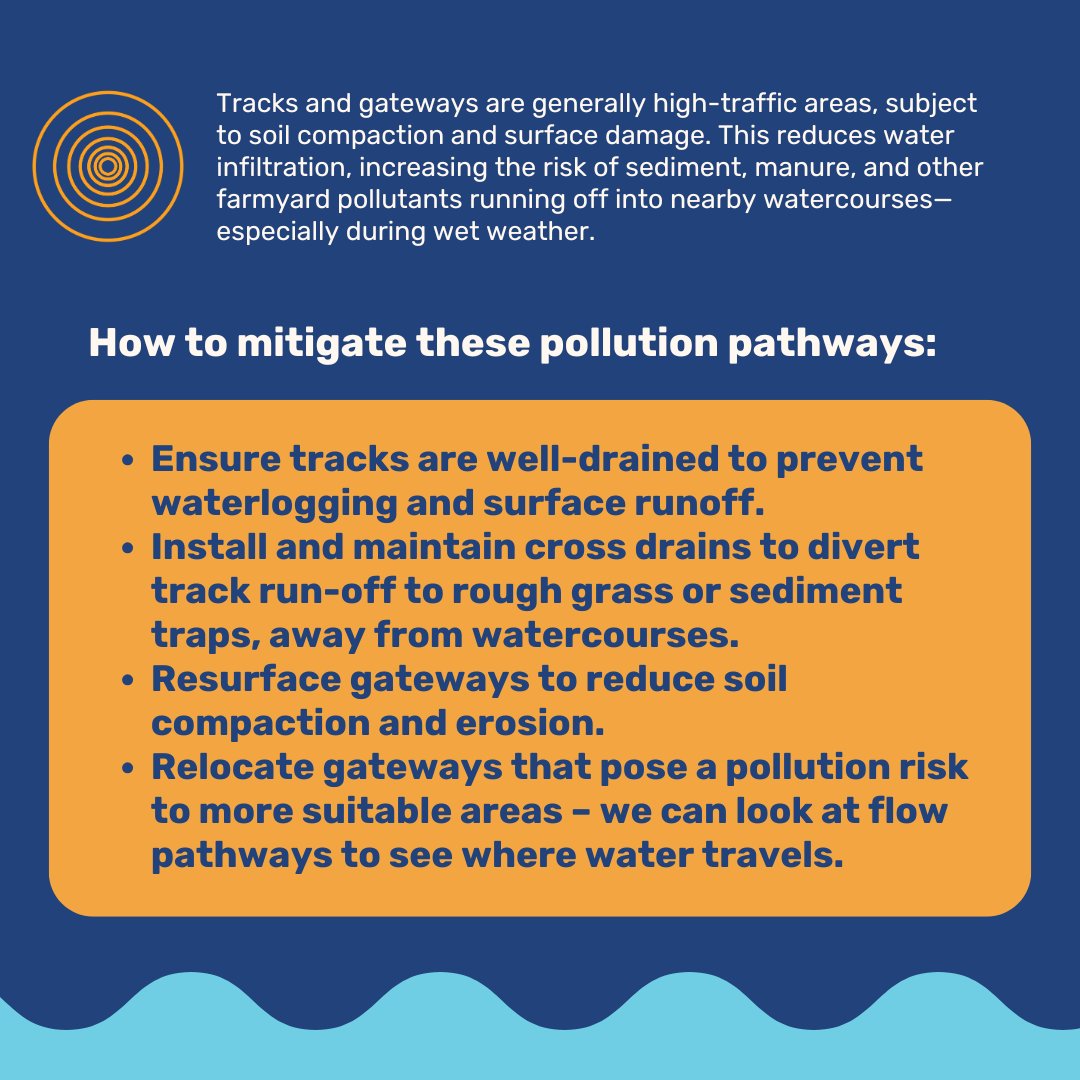 N_Rivers_Trust's tweet image. Did you know that tracks and gateways can act as pollution pathways? 

Discover how, as a landowner, you can mitigate these pollution pathways and why it benefits both your farm and the environment. 🍃

#WRAP #BestPractice #LandManagement