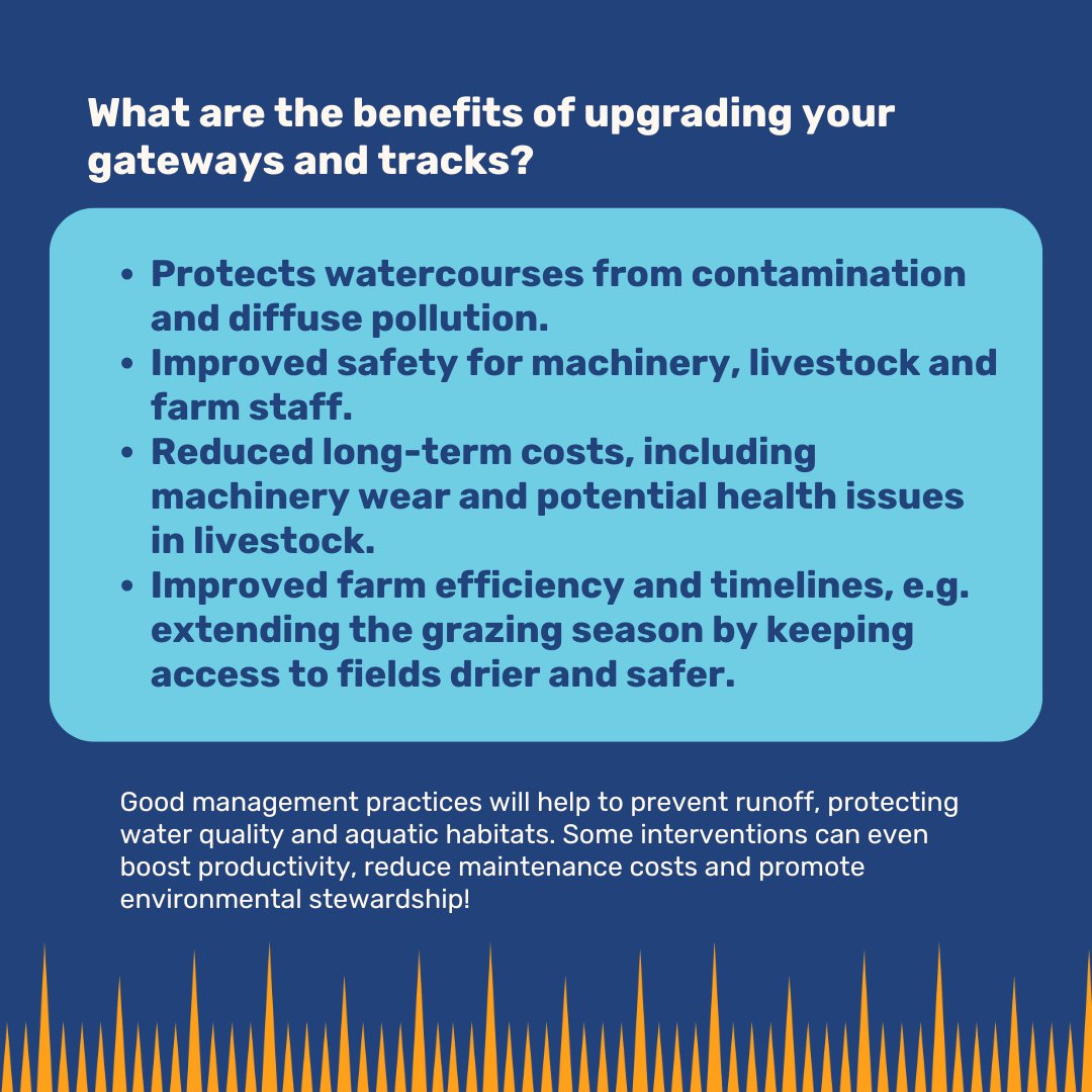N_Rivers_Trust's tweet image. Did you know that tracks and gateways can act as pollution pathways? 

Discover how, as a landowner, you can mitigate these pollution pathways and why it benefits both your farm and the environment. 🍃

#WRAP #BestPractice #LandManagement