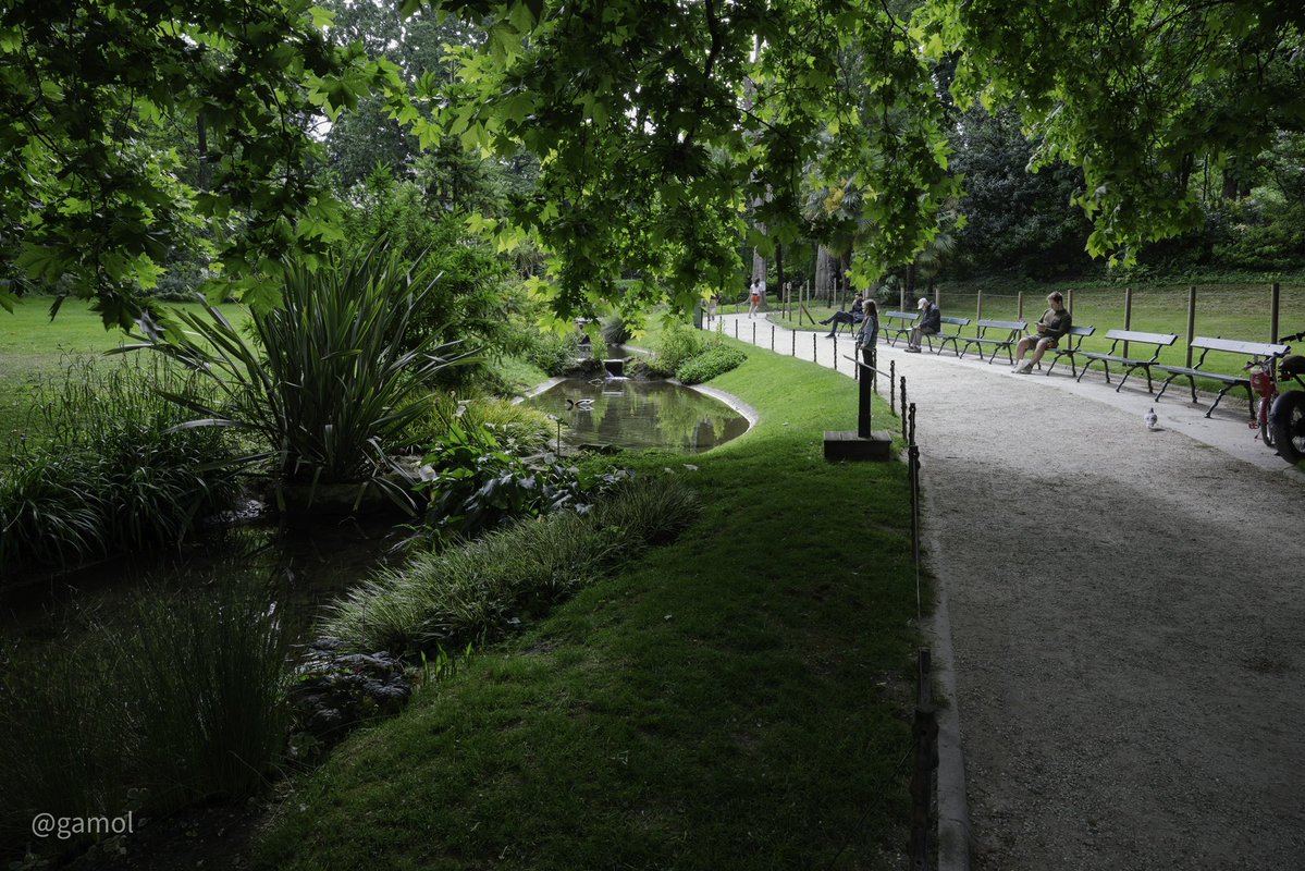 Gamol__'s tweet image. Petit arrêt détente au magnifique - Square des Batignolles - dans le 17ème arrondissement de Paris.
Un havre de paix et de tranquillité 💜
#paris #france #batignolles #square #parc #promenade #detenteetbienetre #nature #animaux #nikonphotography