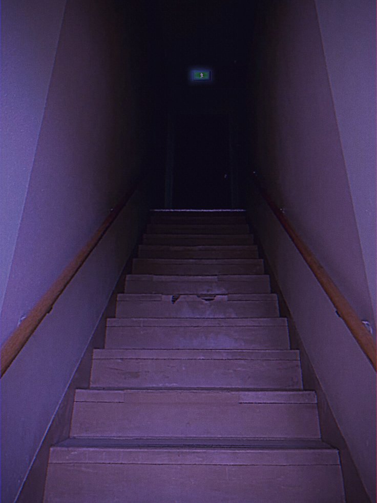 일단 머무른지 8̸̸̸̷̵̨͖̣̻̖̀́̄͒■!̸̸̸̶̵̧̨̻̦̝̿͊̍일%̵͇̫̪!̸̸̸̶̵̧̨̻̦̝̿째 인것 같아요. 상품을 못 훔쳐서 결국 신고도 했는데, 언제 오시지...

아, 그래도 좋은 소식 하나 있어요! 둘러보다 문을 발견했거든요. 3층에서 4층으로 가는 문이던데, 겉보기에는 그냥 낡은 비상구 같아요. 계단도 있고...