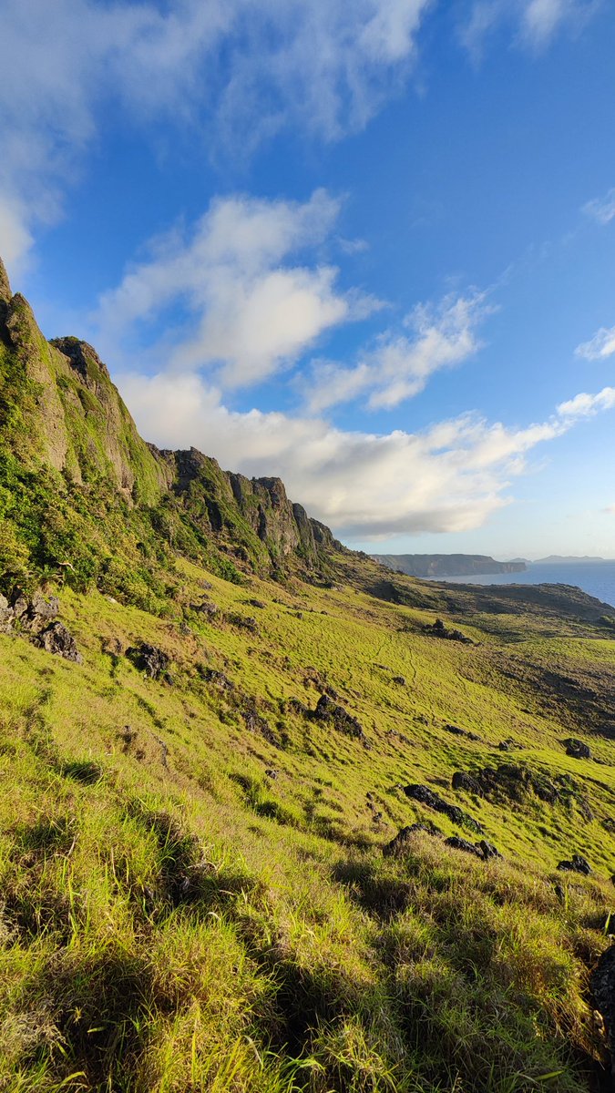 Mark Castillo Bucay tweet media