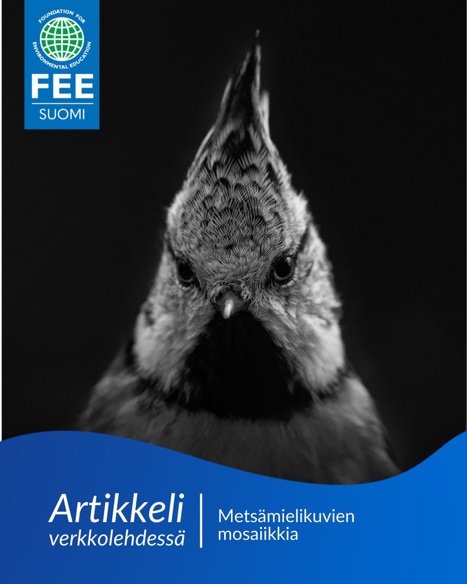 FEE Suomi tweet media