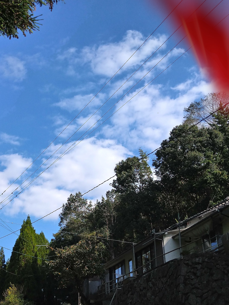 steven_pumpking's tweet photo. 九州を旅行中の友達から、変なラインが来てさ。開口一番「やべえ、呪われたかも」って言うんだよ。3年前のちょうどこの時期だったかな。そのとき添付されてた写真が、これ。ほら、右のとこ分かる？ 赤い線みたいなのが走ってるっしょ？ そいつに言わせりゃ、これが「呪い」なんだって。↓ https://t.co/1POEoljNeb